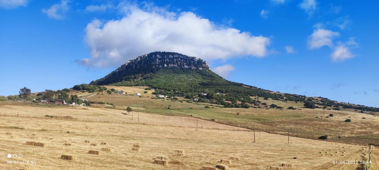 Alquiler Casita En Facinas Villa Kültér fotó